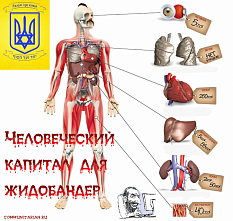 «Украина - не сектор Газы, вы не сможете захватить нас»? Медицинский смысл оккупации Украины: «человеческий ресурс» органов «украинских гоев»? «Украина - не сектор Газы, вы не сможете захватить нас»? Медицинский смысл оккупации Украины: «человеческий ресурс» органов «украинских гоев»?